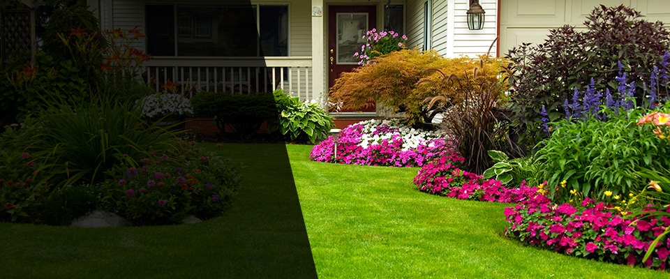 Bovey Landscapers