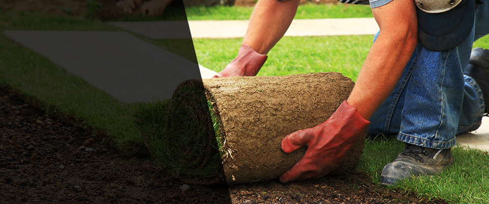 Bovey Landscapers